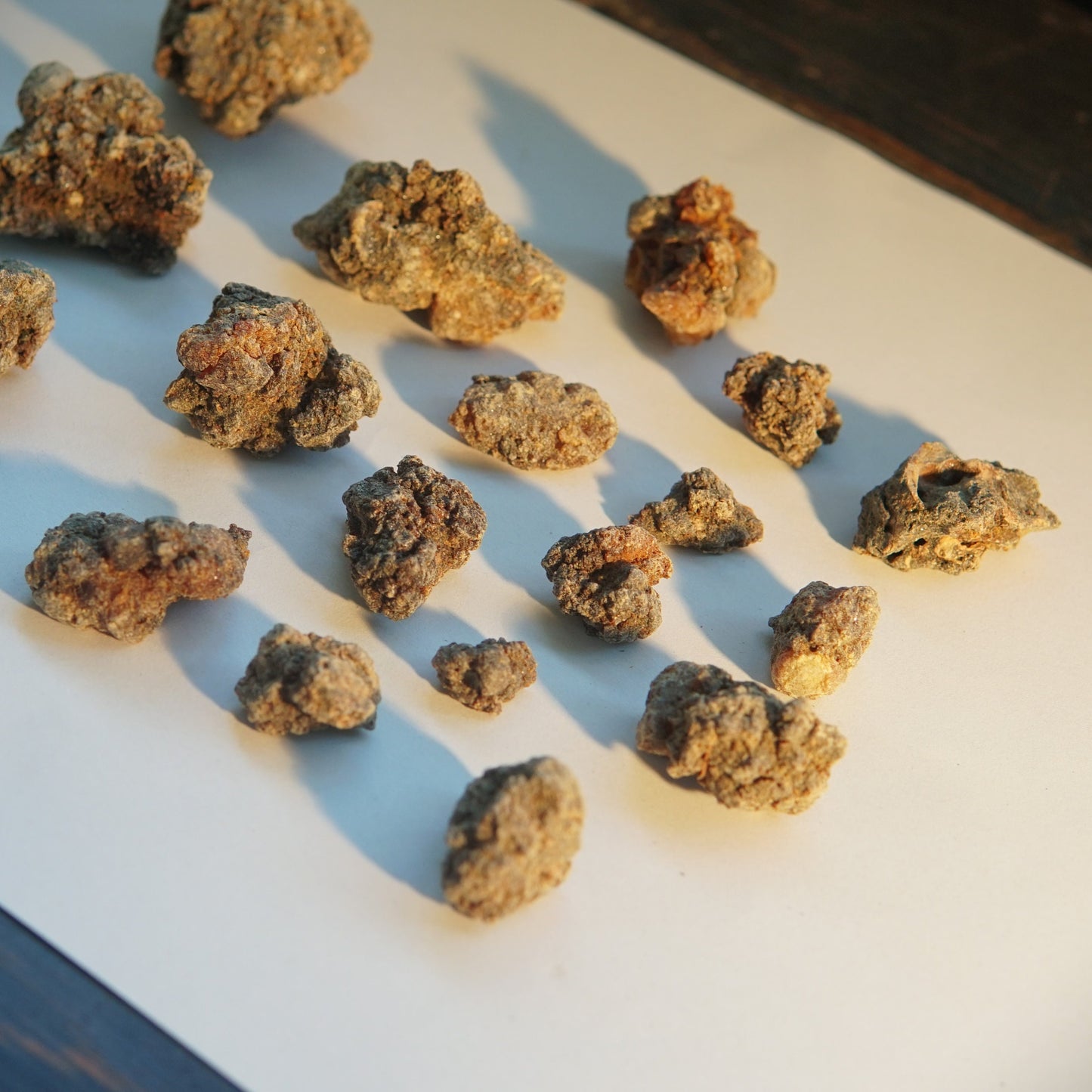 Bittersweet Myrrh 'Opoponax Hagar'