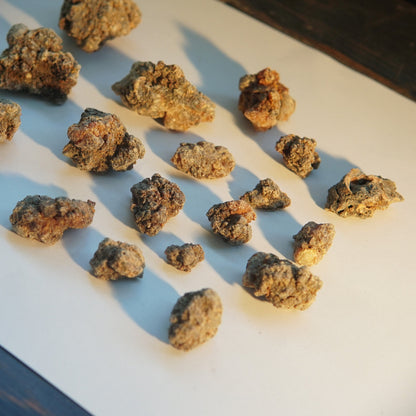 Bittersweet Myrrh 'Opoponax Hagar'