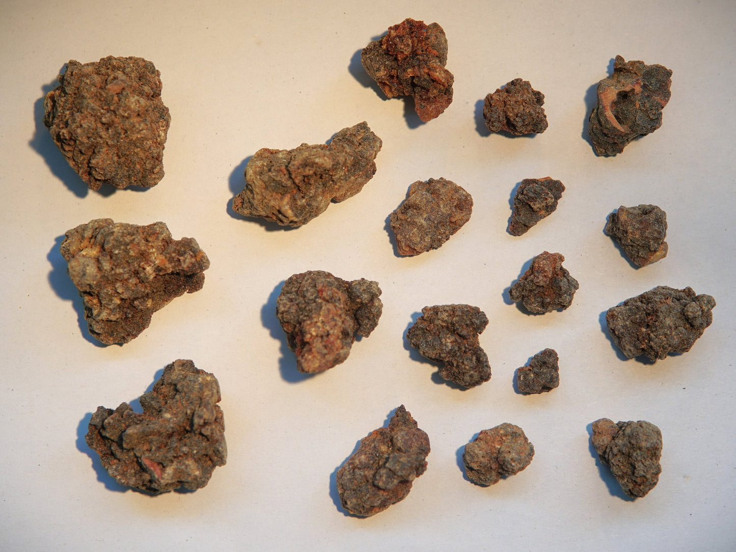 Bittersweet Myrrh 'Opoponax Hagar'