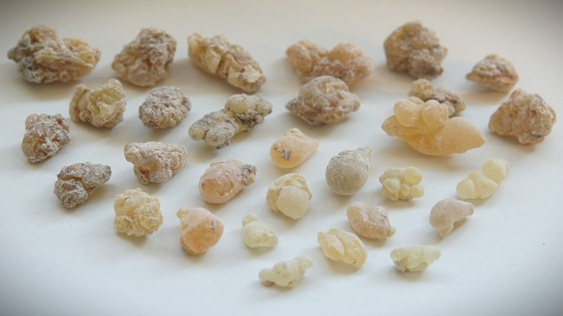 Organic Indian 'Shallaki' Frankincense