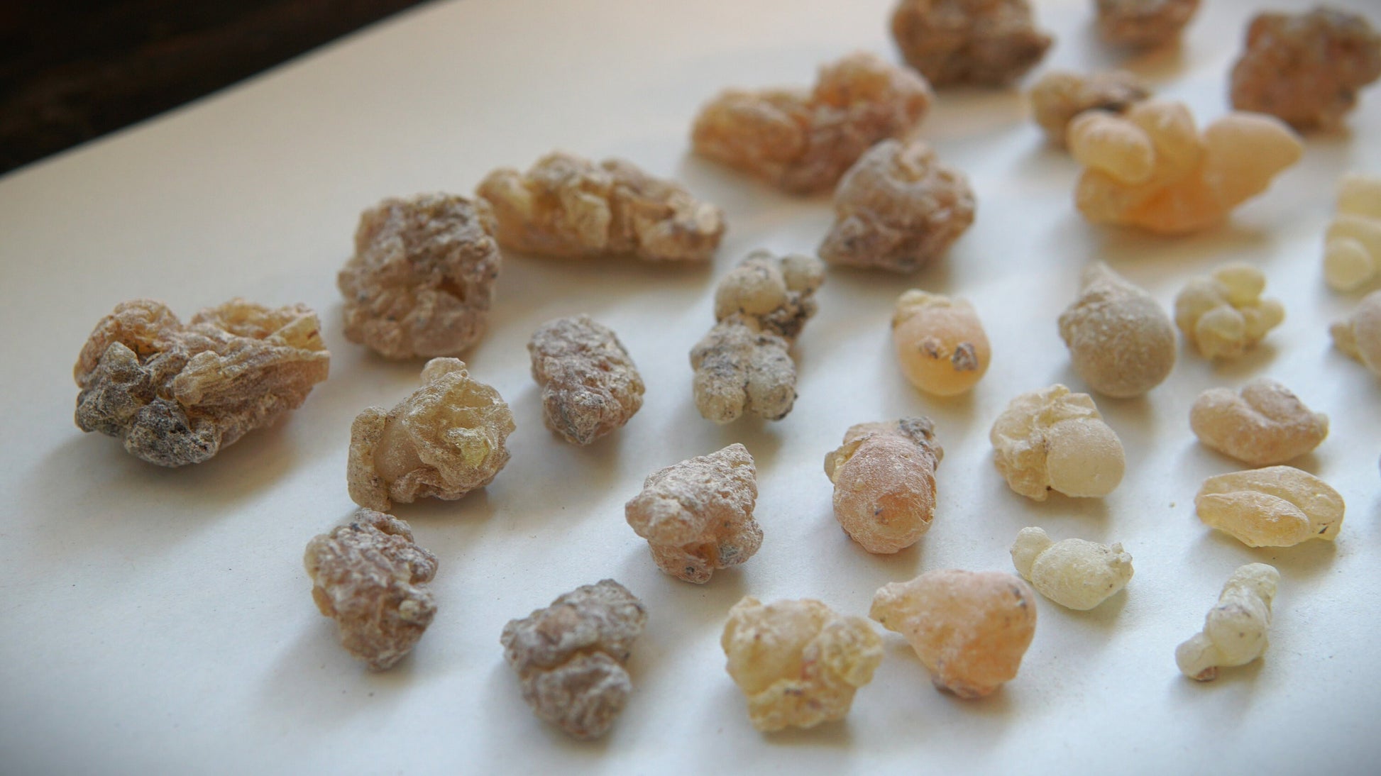 Organic Indian 'Shallaki' Frankincense