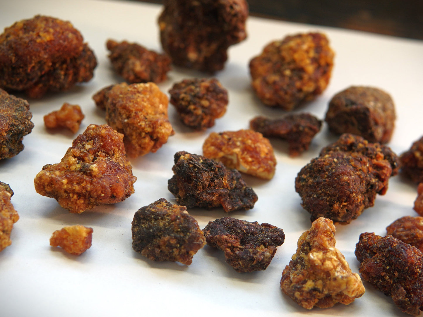 OPOPONAX HADI - Commiphora guidottii - Bitter Myrrh from Ogaden