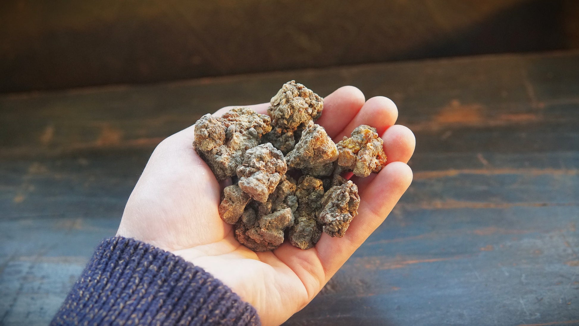 Bittersweet Myrrh 'Opoponax Hagar'