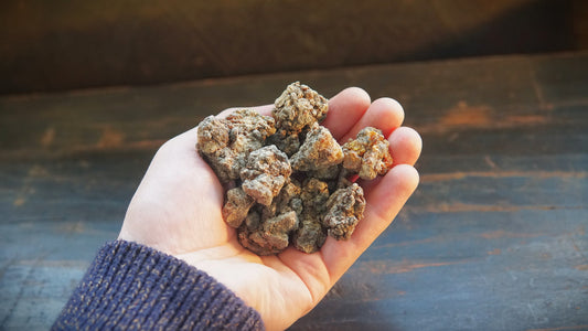 Bittersweet Myrrh 'Opoponax Hagar'