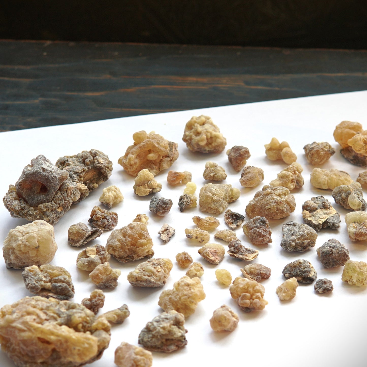 Newly Discovered Frankincense from Pakistan