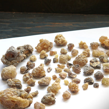 Newly Discovered Frankincense from Pakistan