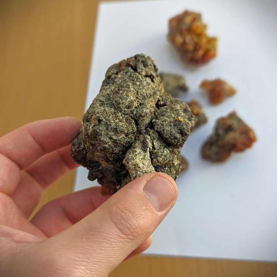 Fresh Omani Myrrh - Fruity, dark, bitter incense resin from Oman - Commiphora wightii