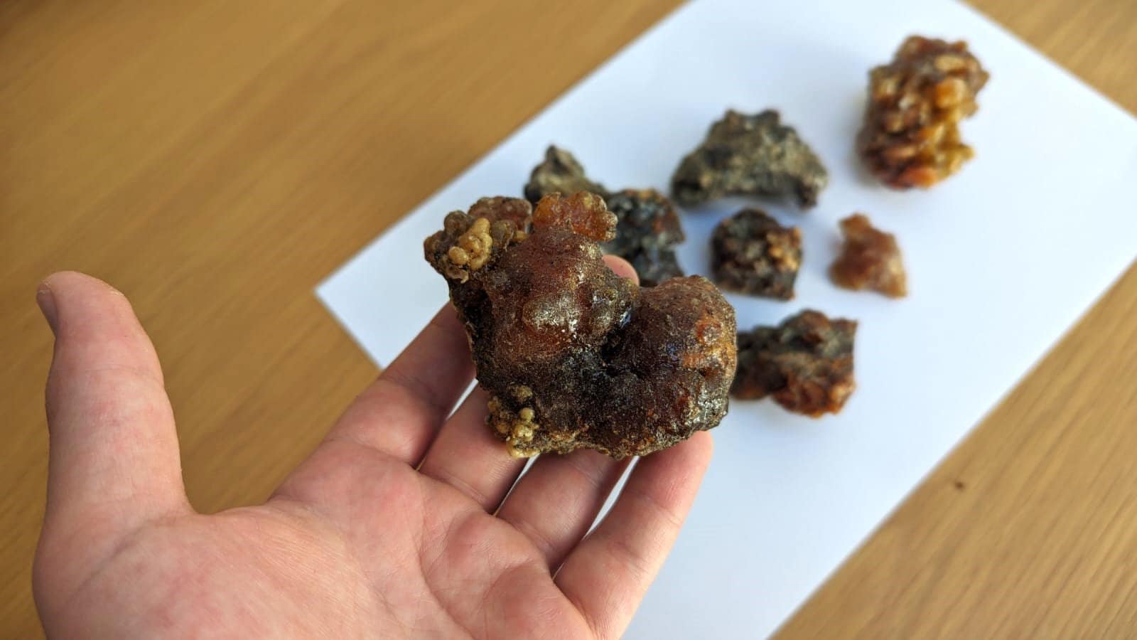 Fresh Omani Myrrh - Fruity, dark, bitter incense resin from Oman - Commiphora wightii