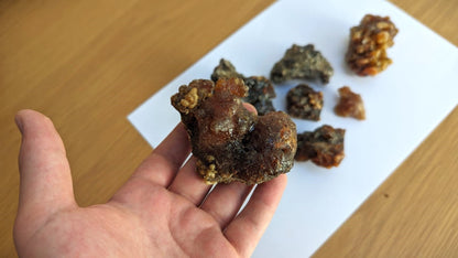 Fresh Omani Myrrh - Fruity, dark, bitter incense resin from Oman - Commiphora wightii