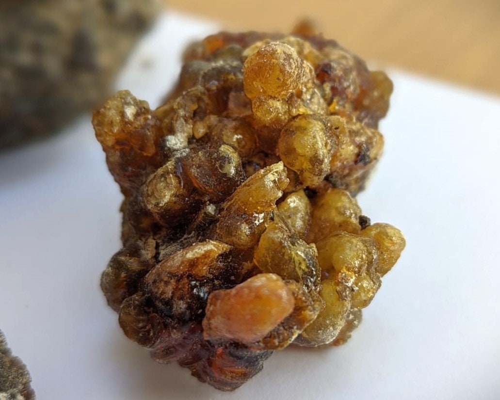 Fresh Omani Myrrh - Fruity, dark, bitter incense resin from Oman - Commiphora wightii