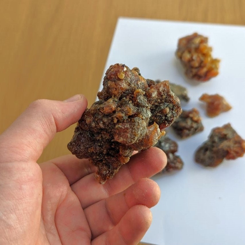 Fresh Omani Myrrh - Fruity, dark, bitter incense resin from Oman - Commiphora wightii