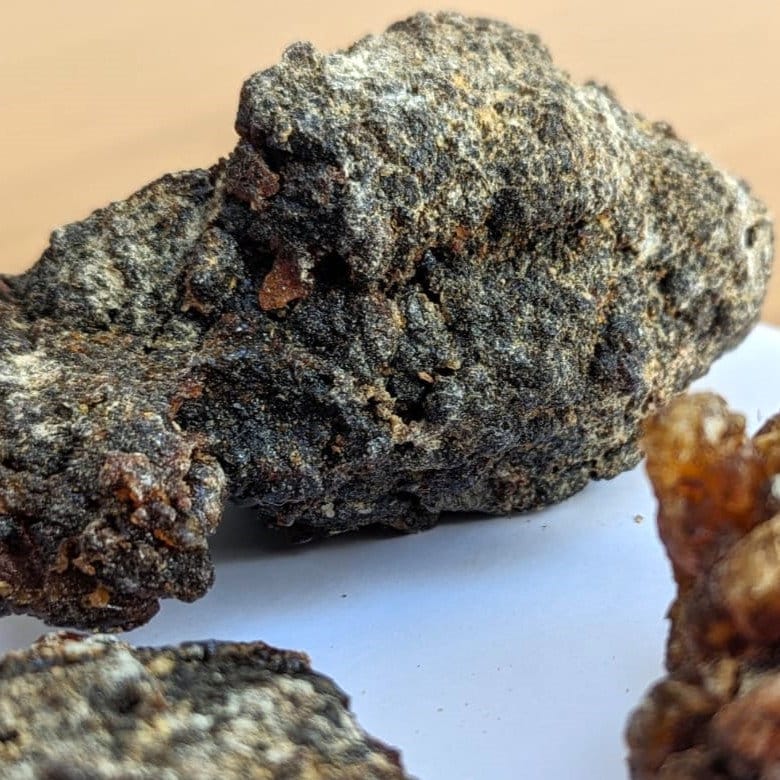 Fresh Omani Myrrh - Fruity, dark, bitter incense resin from Oman - Commiphora wightii