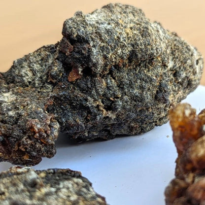 Fresh Omani Myrrh - Fruity, dark, bitter incense resin from Oman - Commiphora wightii