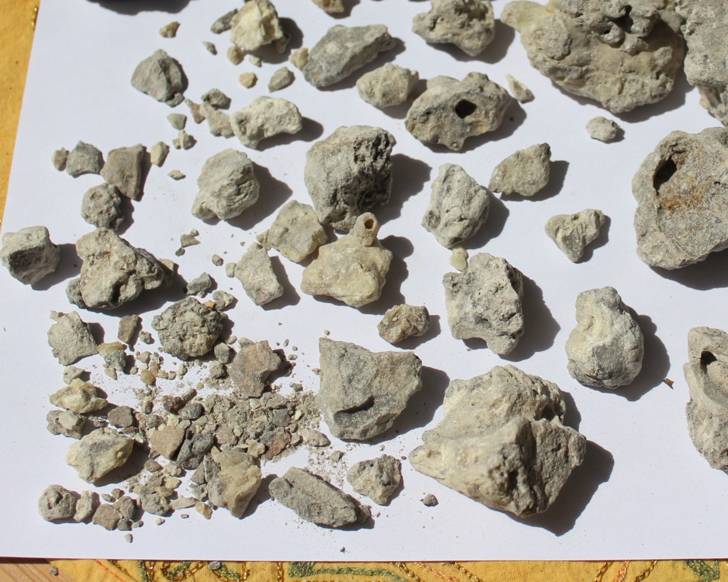 Columbian Copal Blanco Incense Resin