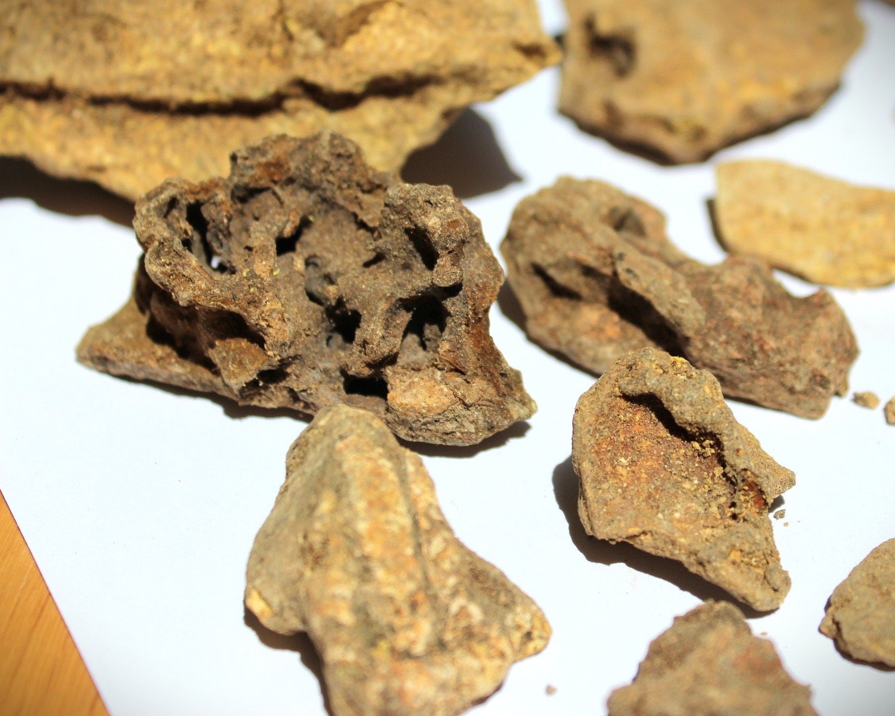 Columbian Copal Negro: Golden Protium amazonicum - Incense Resin