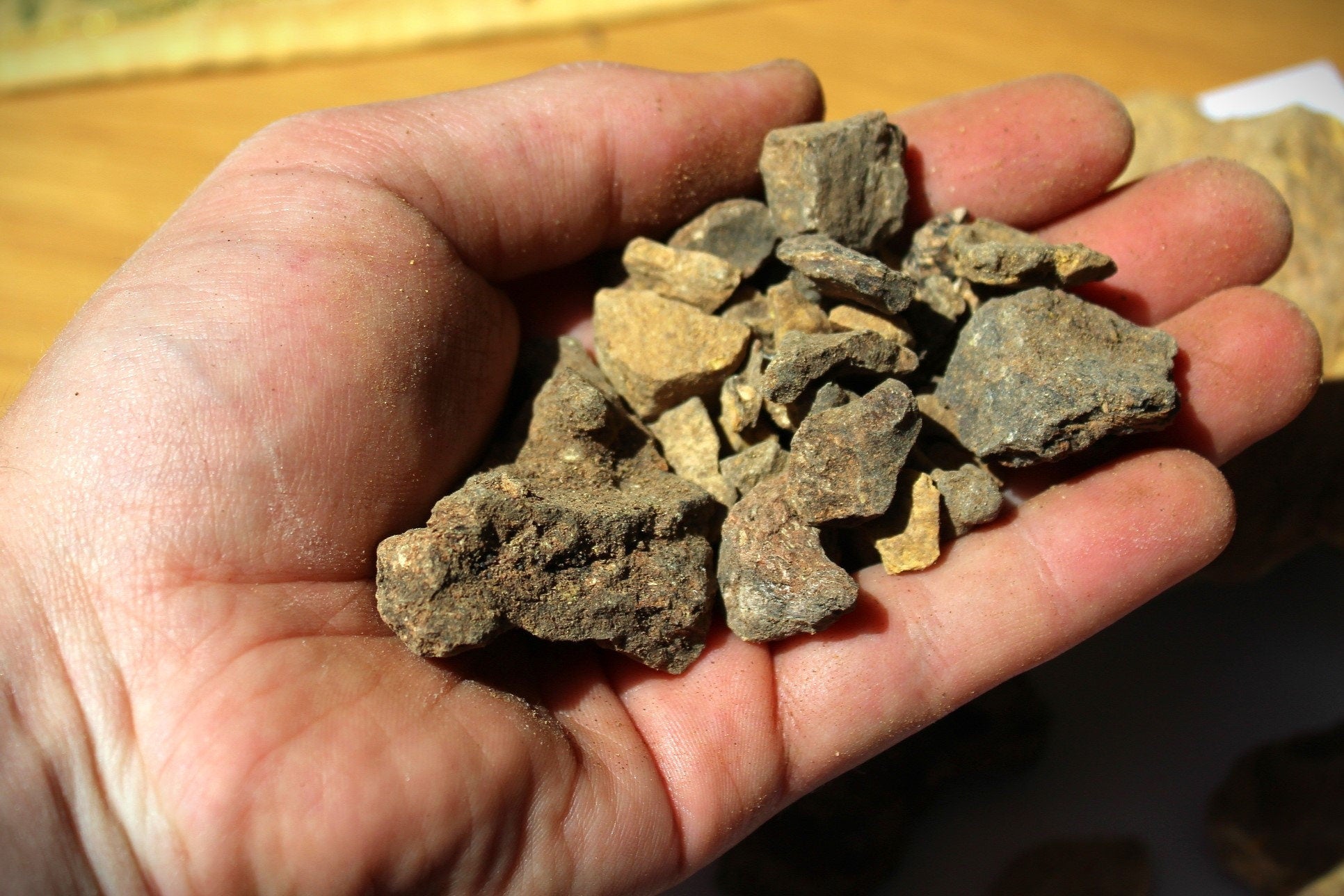 Columbian Copal Negro: Golden Protium amazonicum - Incense Resin