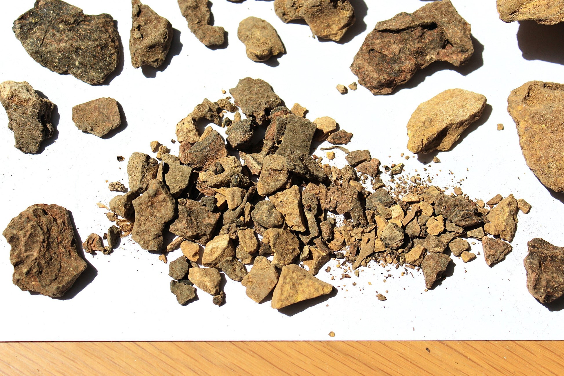 Columbian Copal Negro: Golden Protium amazonicum - Incense Resin