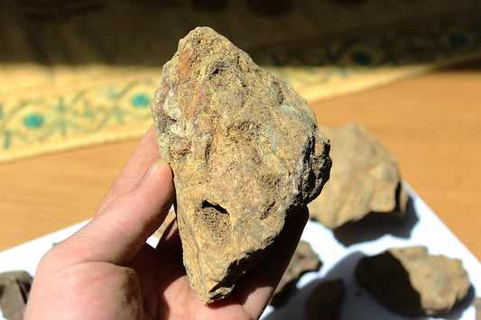 Columbian Copal Negro: Golden Protium amazonicum - Incense Resin