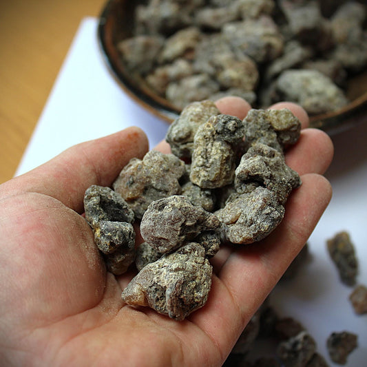 Siberian 'Cedar' Resin - Pinus sibirica