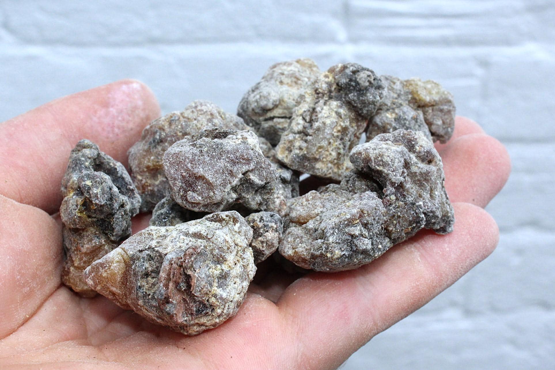 Siberian 'Cedar' Resin - Pinus sibirica