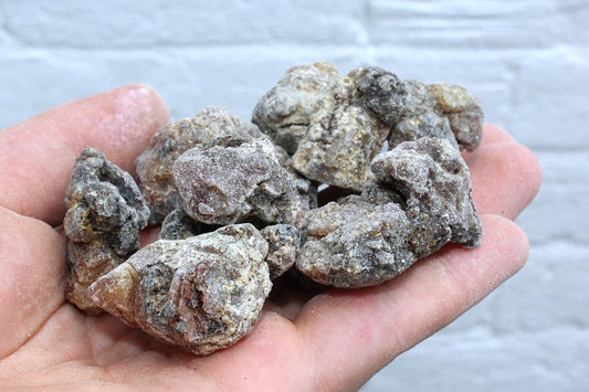 Siberian 'Cedar' Resin - Pinus sibirica