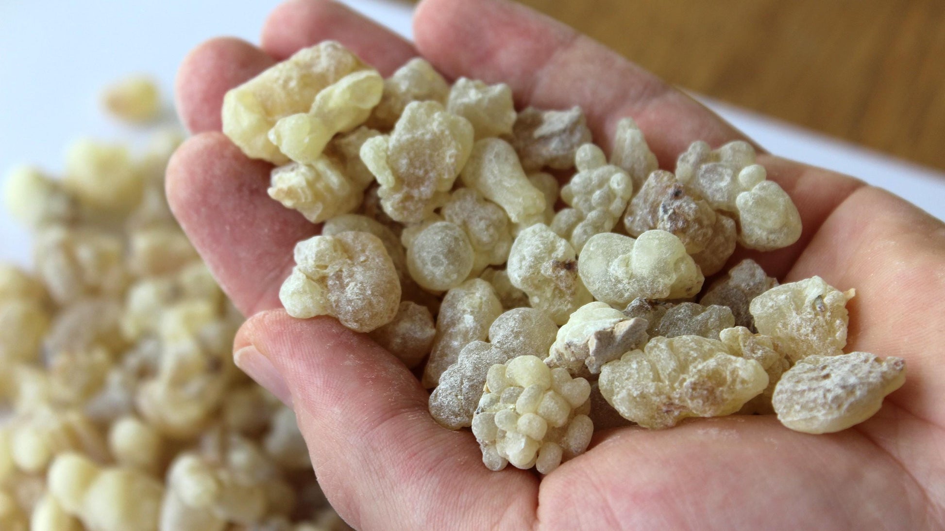 Royal White Hojari Frankincense - Boswellia sacra
