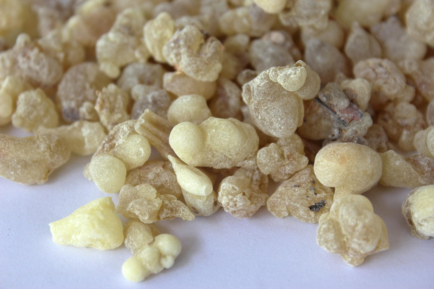 Royal White Hojari Frankincense - Boswellia sacra