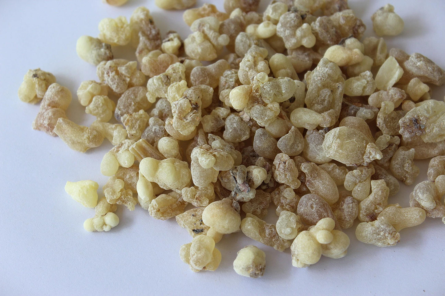 Royal White Hojari Frankincense - Boswellia sacra