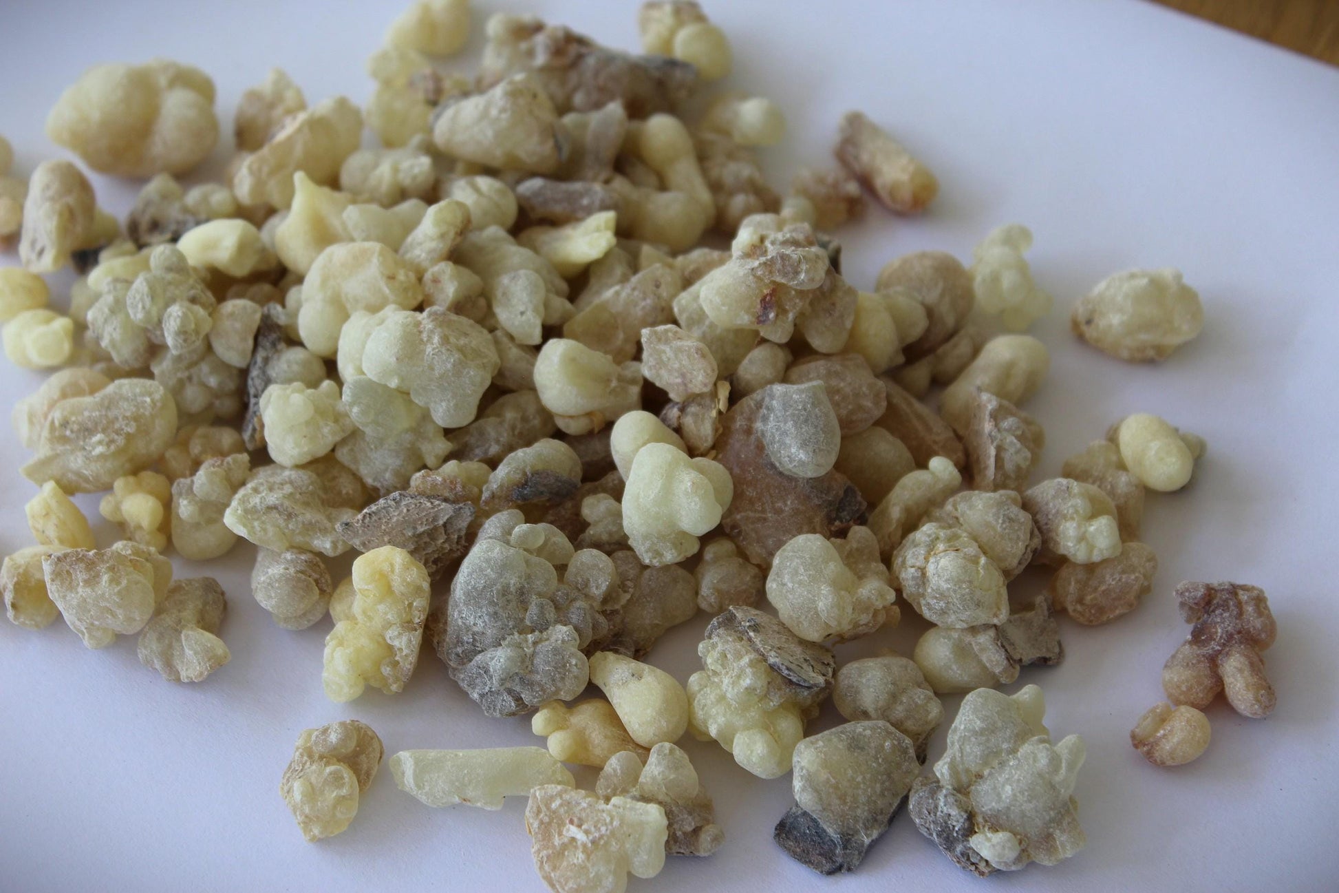 White Occulata Frankincense - High Grade Boswellia occulta