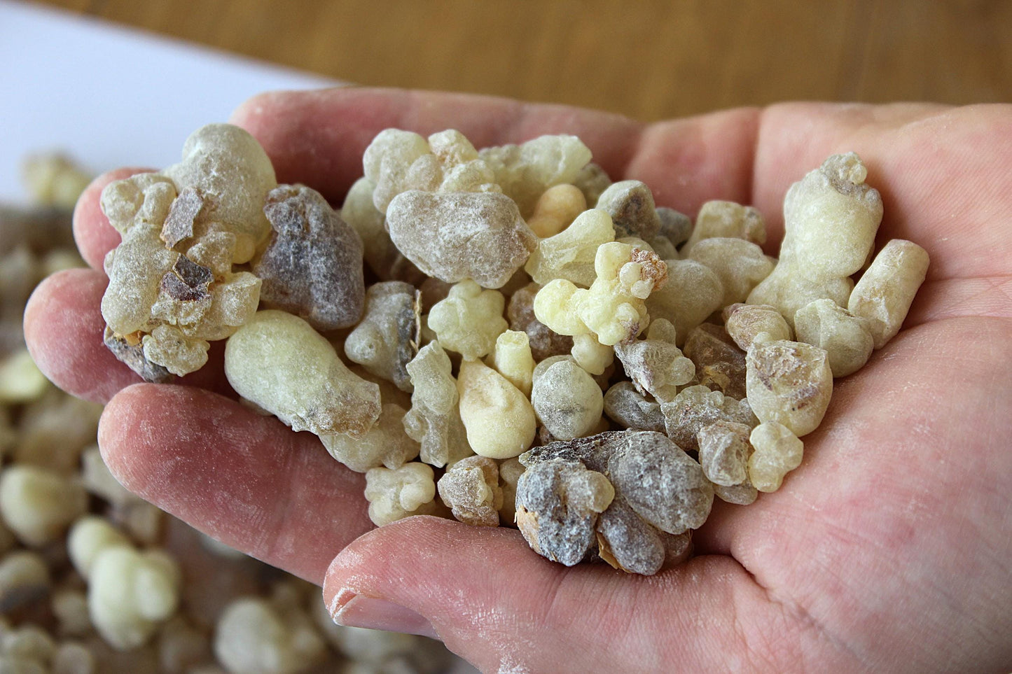 White Occulata Frankincense - High Grade Boswellia occulta
