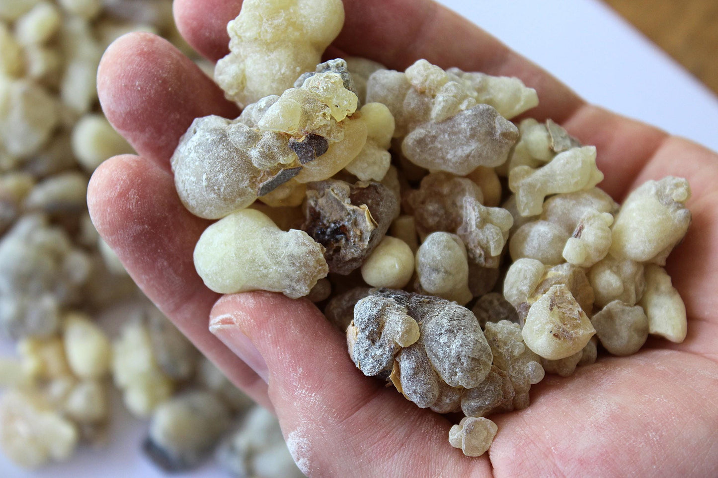 White Occulata Frankincense - High Grade Boswellia occulta