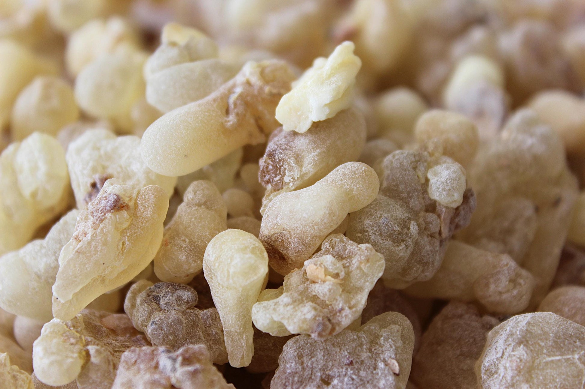 Royal White Hojari Frankincense - Boswellia sacra