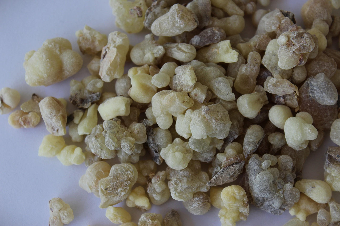 White Occulata Frankincense - High Grade Boswellia occulta