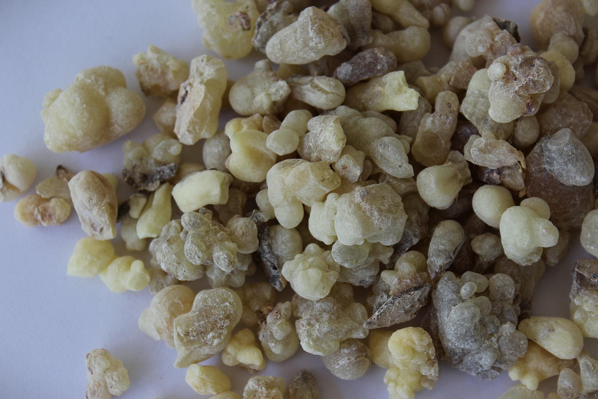 White Occulata Frankincense - High Grade Boswellia occulta