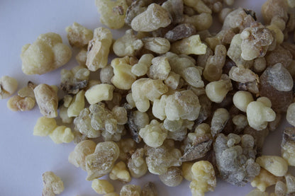 White Occulta Frankincense - High Grade Boswellia occulta