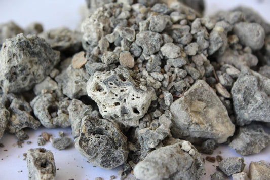 Saumerio Copal - Incense Resin from Peru