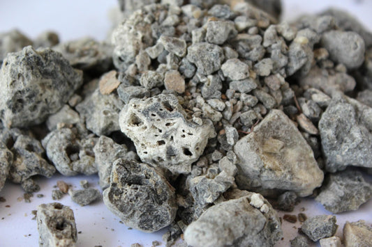 Saumerio Copal - Incense Resin from Peru