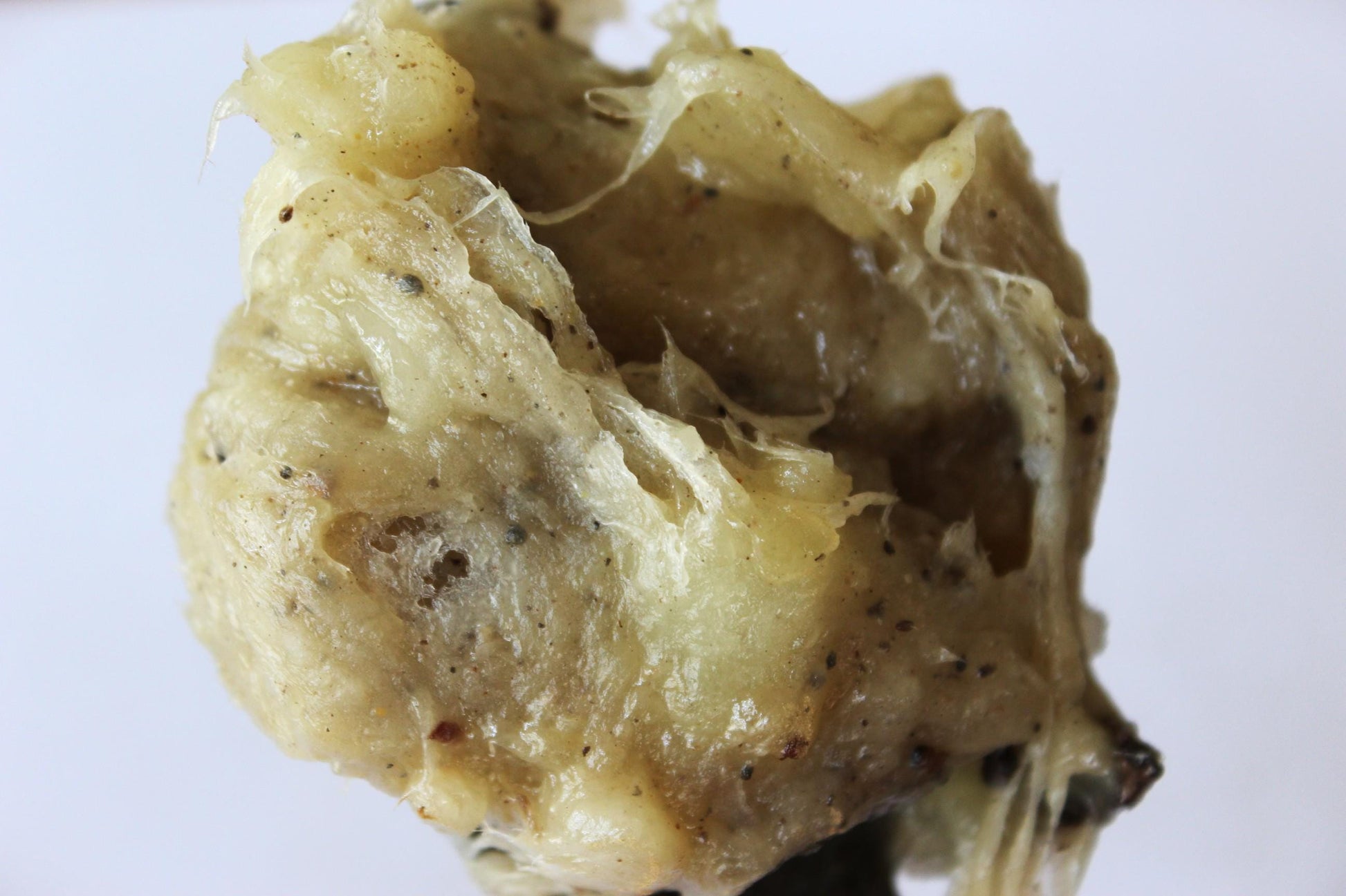 Elemi Gum Incense Resin from Vietnam