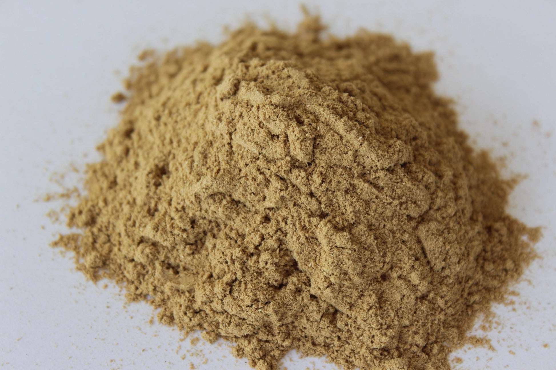 OUD INCENSE POWDER - Vietnamese Oud - Aqualaria crassna