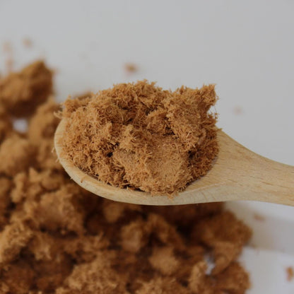 Weeping Cypress Powder from Vietnam