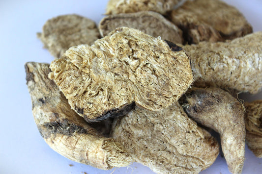 WHOLE MUSK ROOT - Ferula Sumbul - Incense