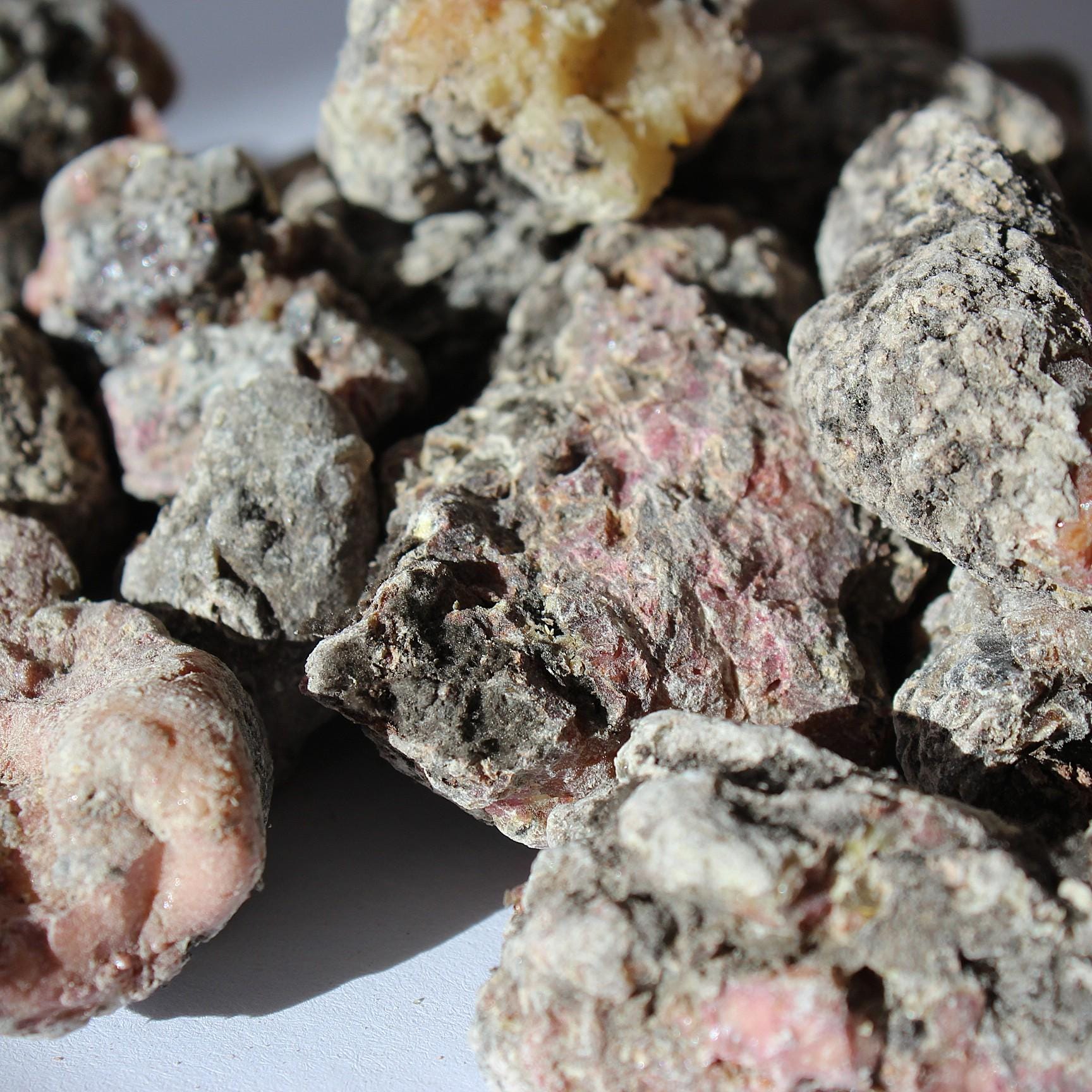 Estonian Spruce Resin - Picea abies