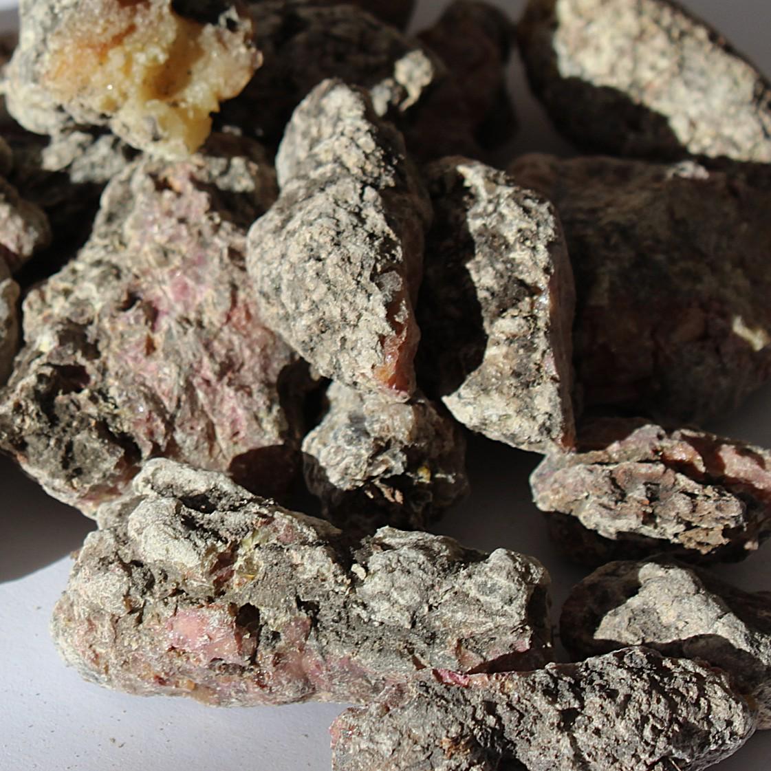 Estonian Spruce Resin - Picea abies