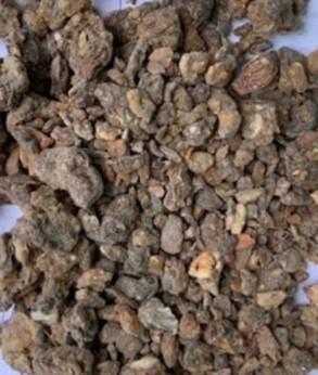 BENZOIN - Julur - Styrax benzoin - Incense Resin from Sumatra