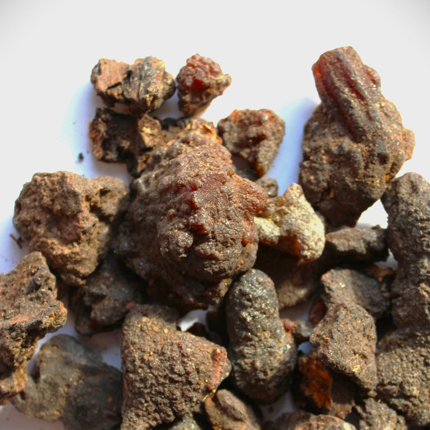 Copal Torote Incense Resin from Mexico
