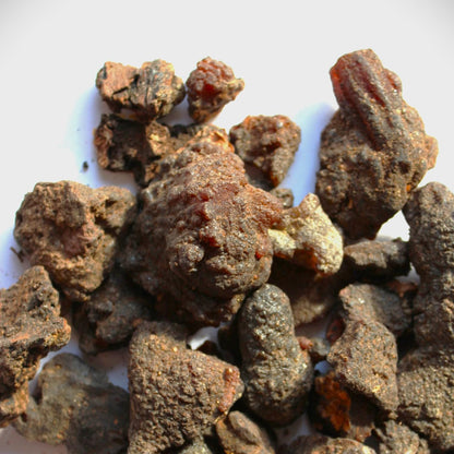 Copal Torote Incense Resin from Mexico