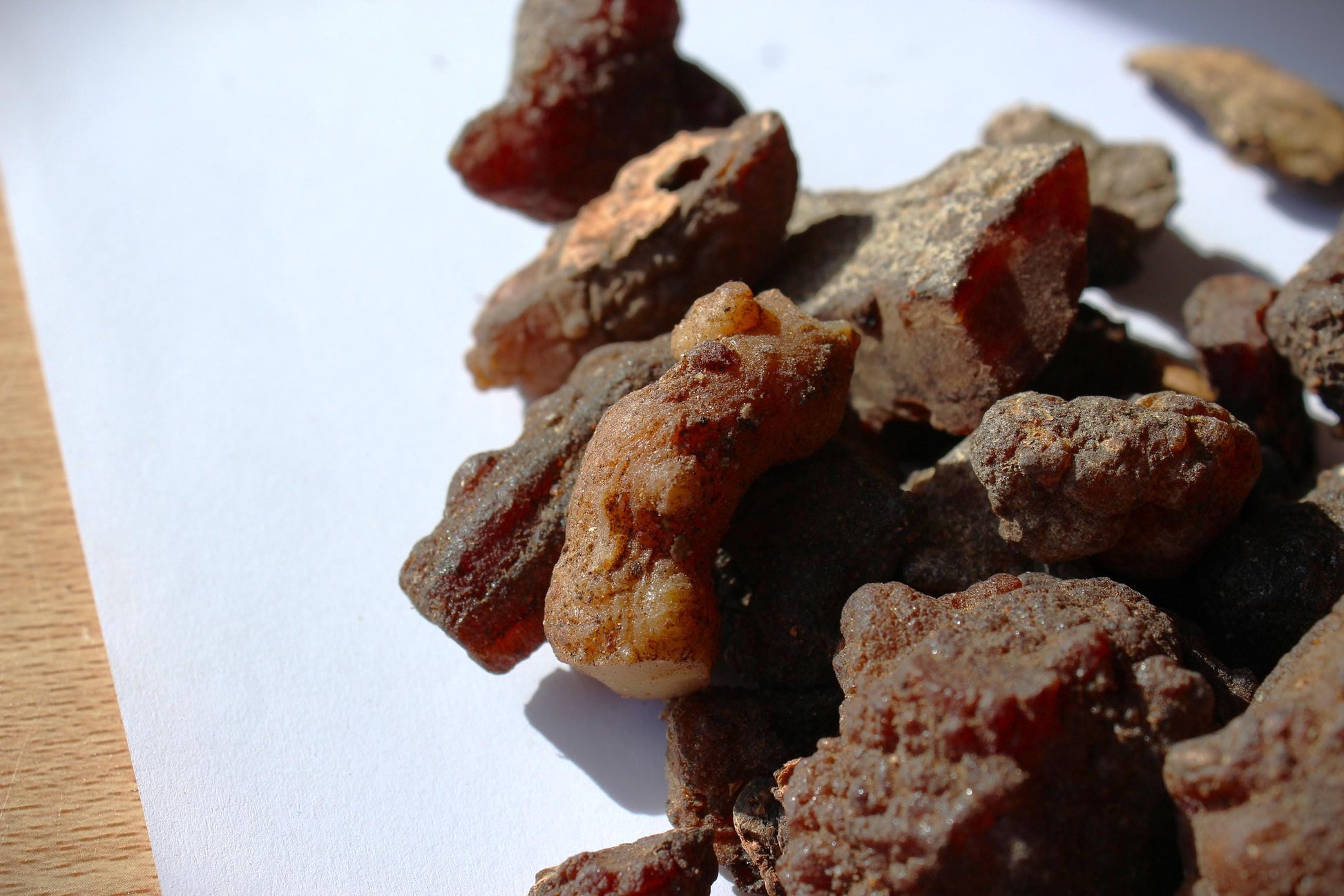 Copal Torote Incense Resin from Mexico