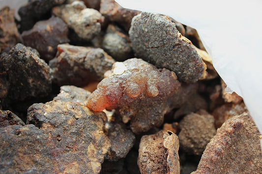 Copal Torote Incense Resin from Mexico