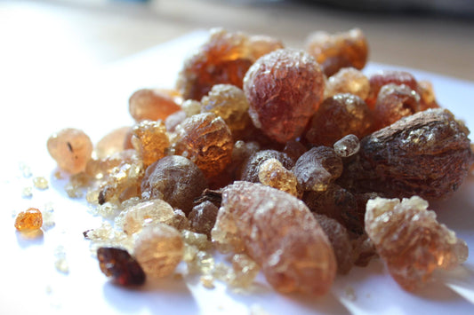 Mesquite Copal - Fruity, sweet, earthy incense resin from Peru - Prosopis alba