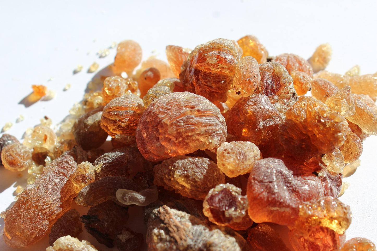 Mesquite Copal - Fruity, sweet, earthy incense resin from Peru - Prosopis alba